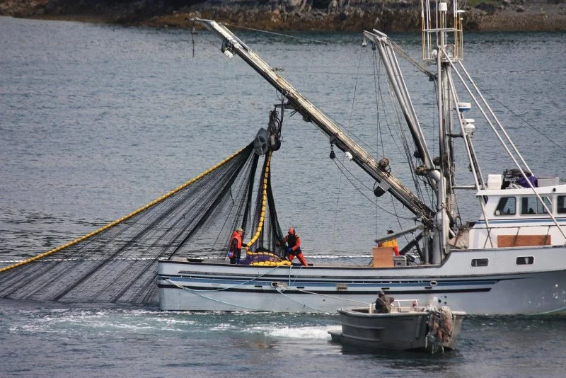 Five Missing After 50-Foot Fishing Boat Capsizes Near Point Couverden